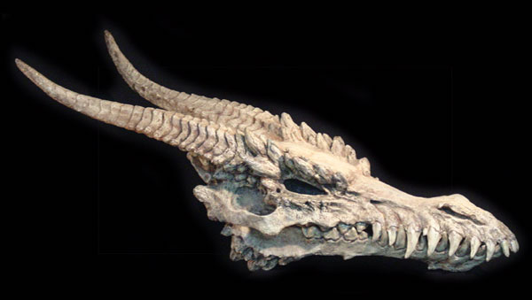 Large-dragon-skull-1